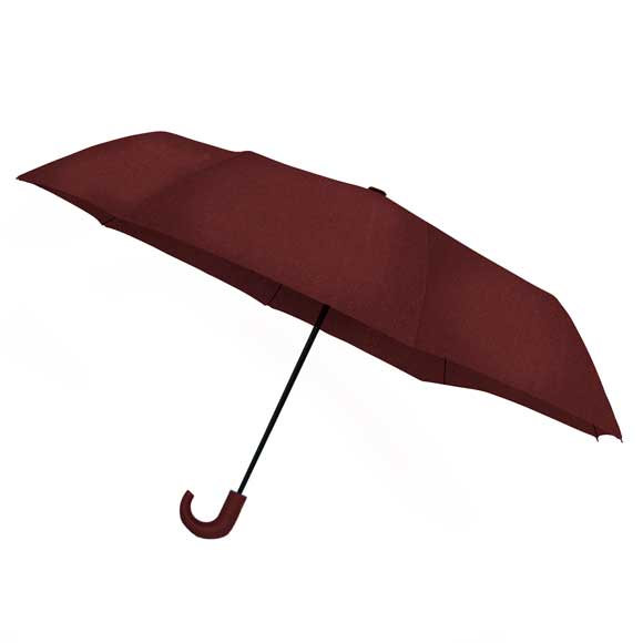 Compact Travel Umbrella - Auto Open - Image 2
