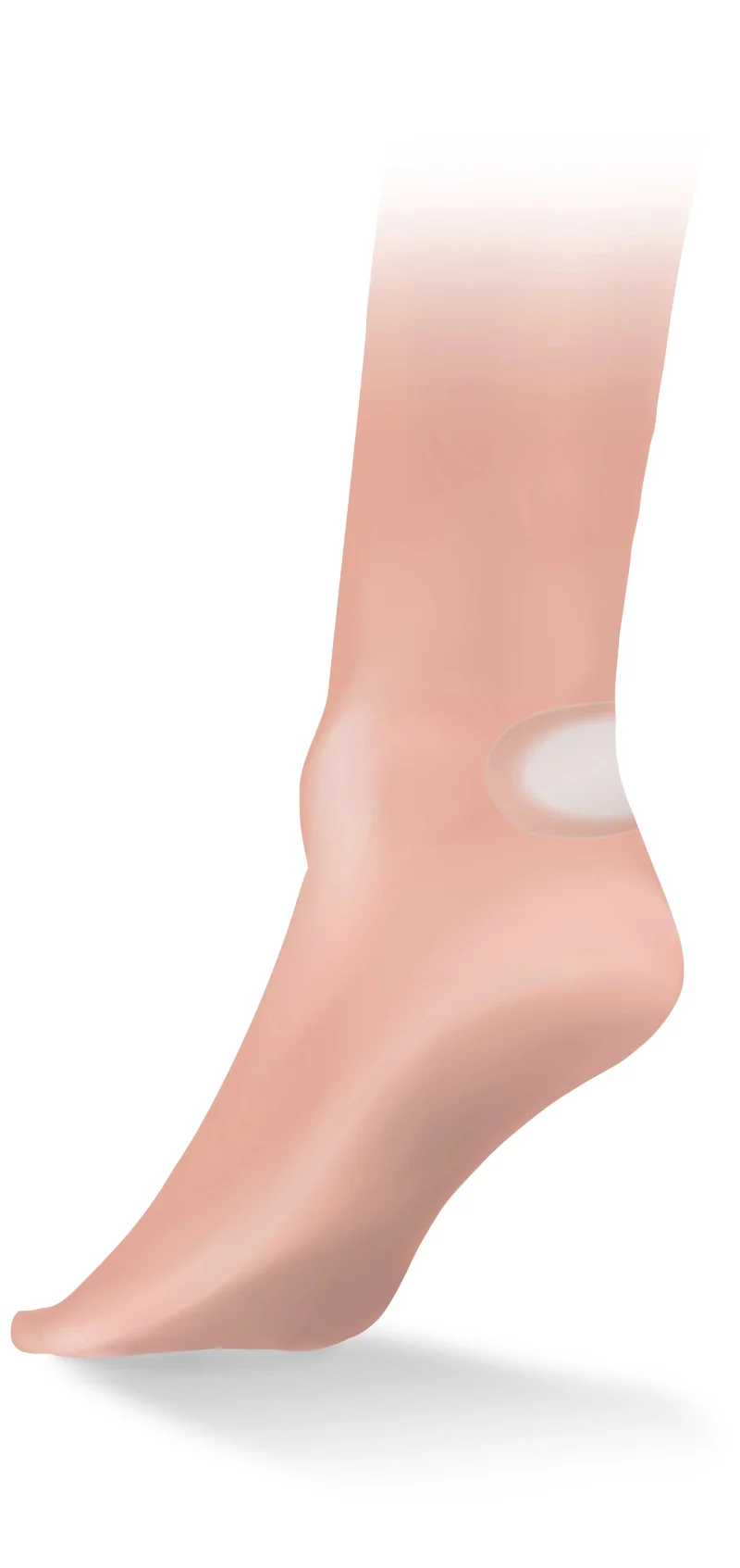 Blister Plasters 6 Pack - Image 3