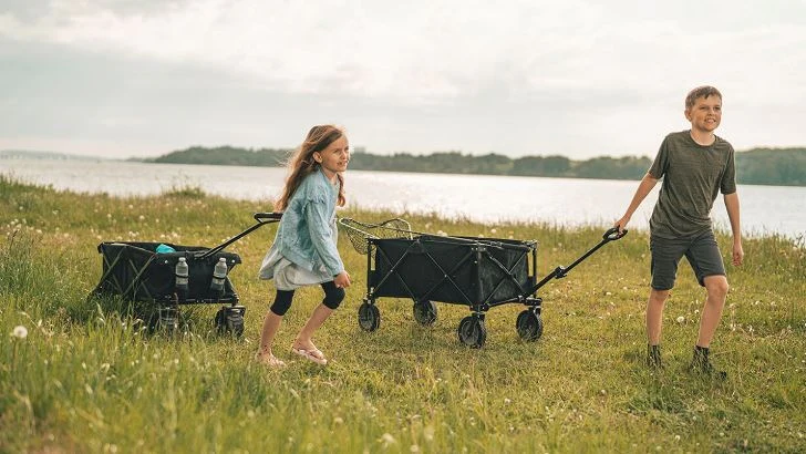 Hamoa Transporter - Image 2