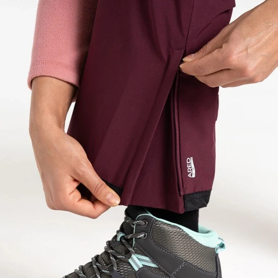 Women's Effused Ski Pant - Image 11